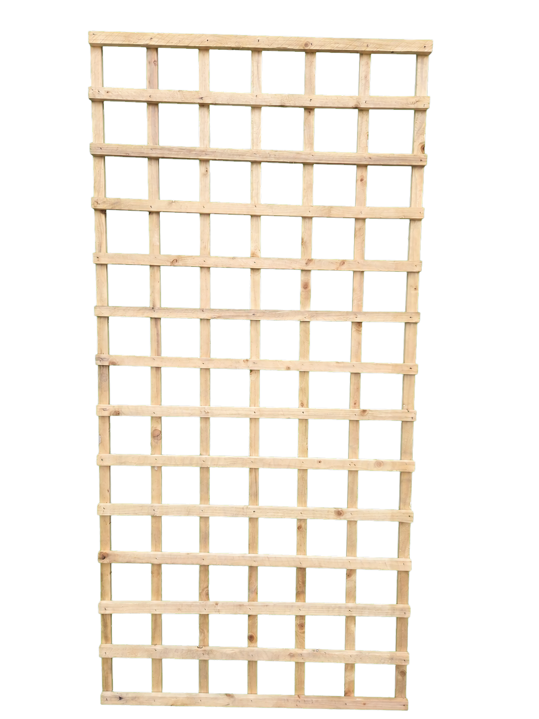 Standard Square Trellis